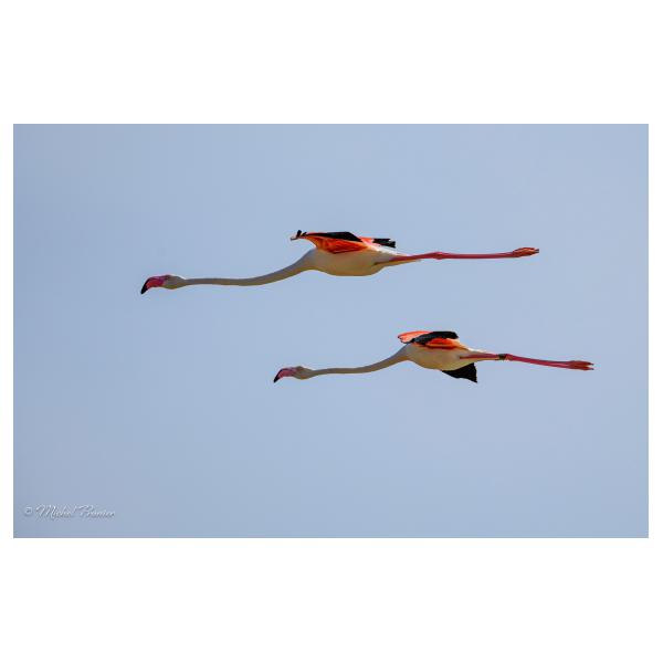 PHOTO84, CLUB, 84 , LUBERON